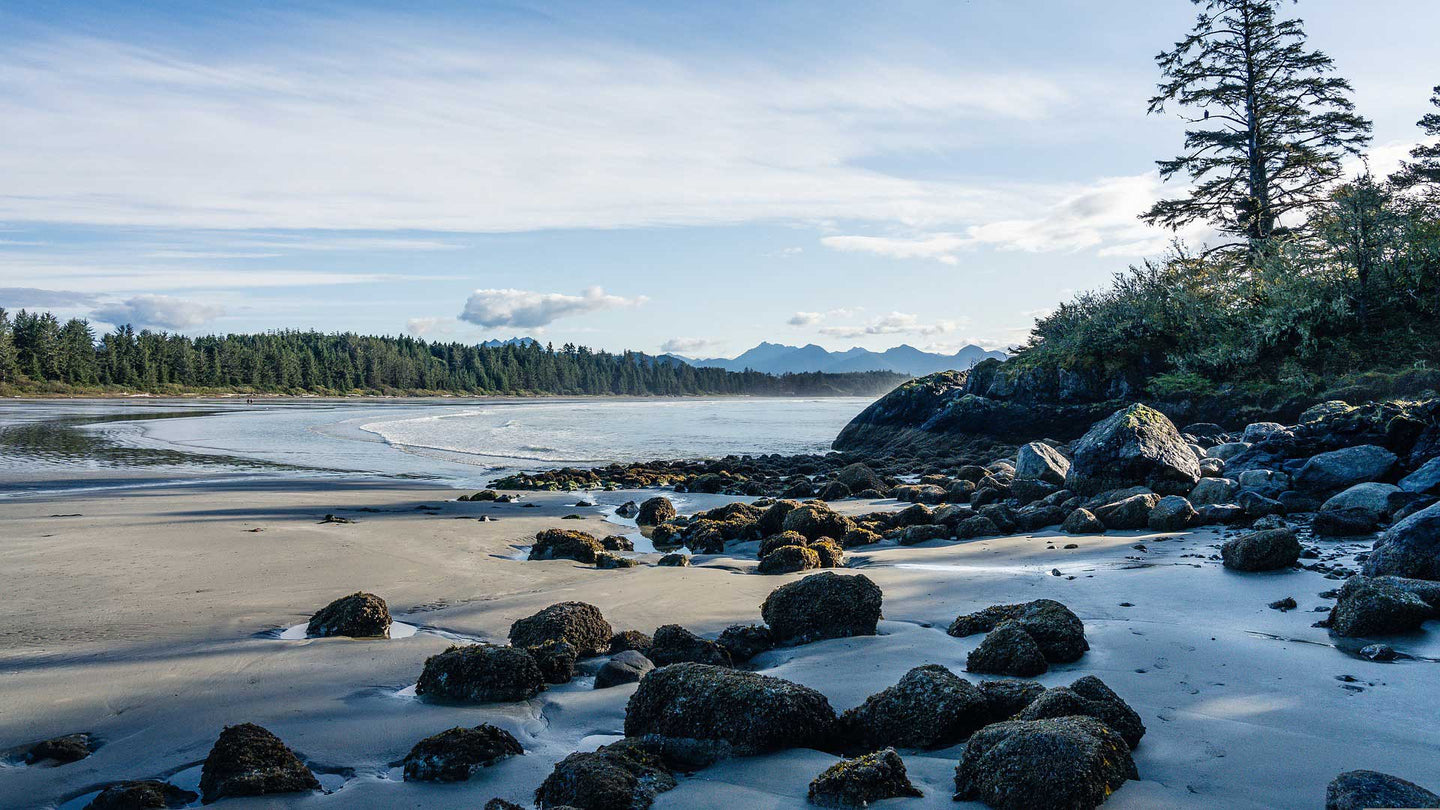 tofino boutique